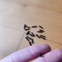 3mm siyah göz (1 çift) 3mm siyah göz (1 çift)
